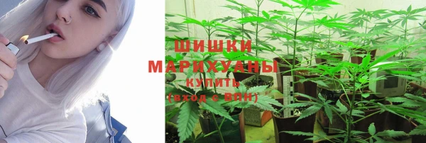 гидра Зеленокумск